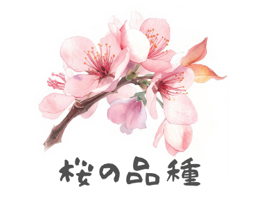 WordPress課題制作③